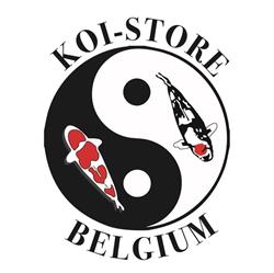 Koi - Store - Belgium