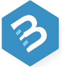 Beelingwa - Agence de communication multilingue et de marketing digital international