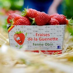 Fraises de la Guenette