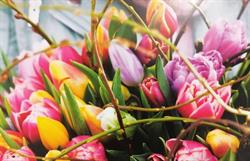 Bloemenwinkel Borze