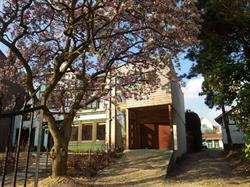 Les Magnolias