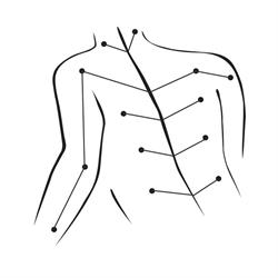 Osteopaat Ronse/Renaix - Osteopathie Julien Vandendooren