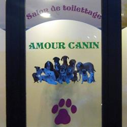 Salon de toilettage Amour canin