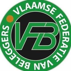 Vlaamse Federatie van Beleggers  'VFB'