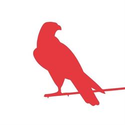 Early Birds Art Gallery