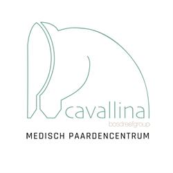 Cavallina
