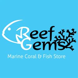 Reef Gems