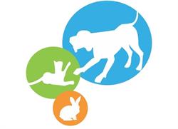 Dierenartsenpraktijk AnimOH