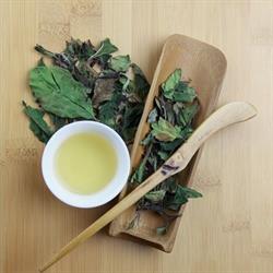 thewayoftea