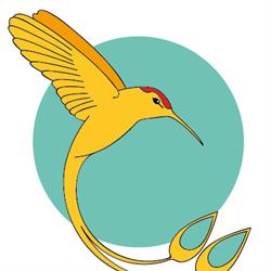 Le Colibri