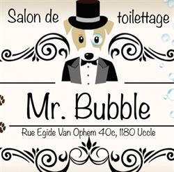 Mr. Bubble