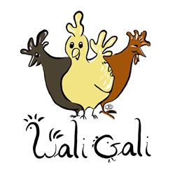 WaliGali
