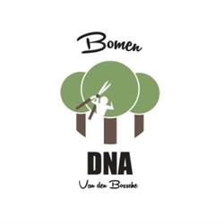 Bomen DNA