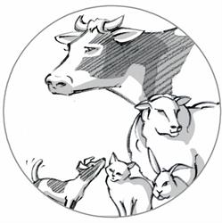 Dierenartsenpraktijk A&M / Cabinet vétérinaire A&M