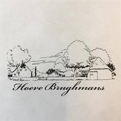 Hoeve Brughmans BV