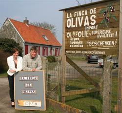 La Finca de Olivas
