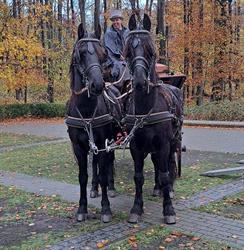 HORSEVENTURES