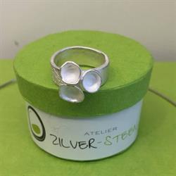 Zilver-Steen