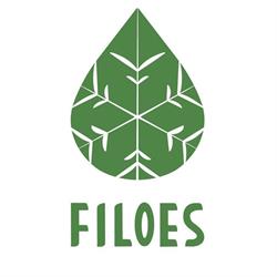 Filoes