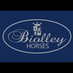 BIOLLEY HORSES