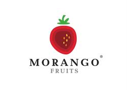 Morango Fruits Bvba