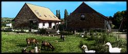 Plukboerderij Schelle