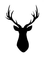 Oh Deer!