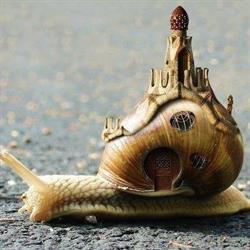 l' Escargot, Minicamping Deluxe & Glamping