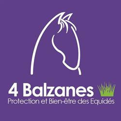 Refuge 4 Balzanes
