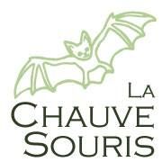 la chauve-souris