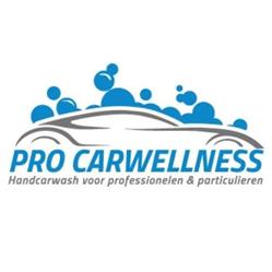 Pro Carwellness