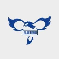 CrossFit Blue Fenix