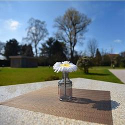 Le Jardin de Waterloo