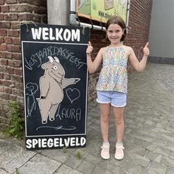 Spiegelveld
