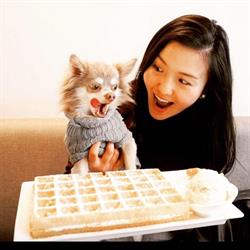 Lizzies  Wafels