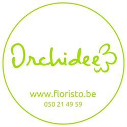 BloemenOrchidee