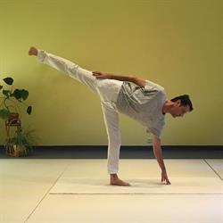 Centrum voor Yoga en Gezondheid, Philippe Gits