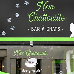 Le New Chattouille asbl