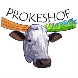 Prokeshof