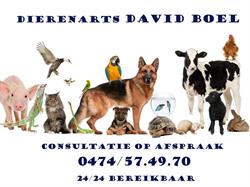 Dierenartspraktijk David Boel