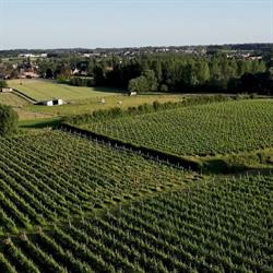 Wijndomein Pres De Gand