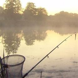 Etangs de Cendron
