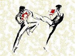 Savate Leuven