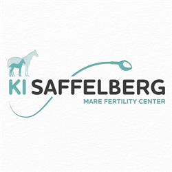 KI Saffelberg