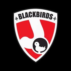 Hockey Club Blackbirds