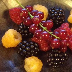 SlowBerry