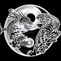 L'école du tigre et du dragon - Qi Gong Thérapeutiqe