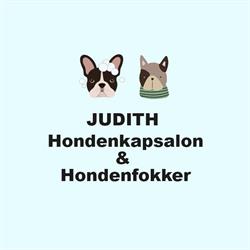 Franse Bulldog fokker Judith
