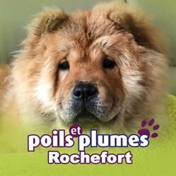 Poils et Plumes