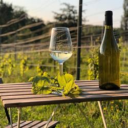 Domaine du Krayenberg
